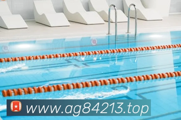 ag百家乐平台生态图